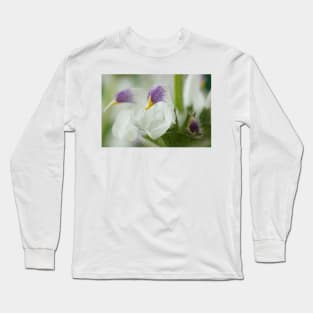 Salvia argentea  Silver sage  Silver clary Long Sleeve T-Shirt